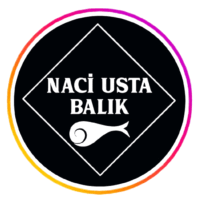 Partner Logo 7